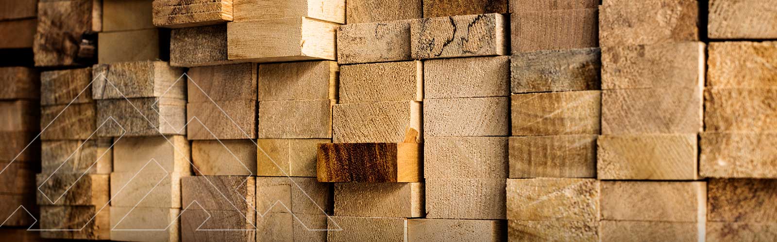 Palets Hermanos Navarro S.C.